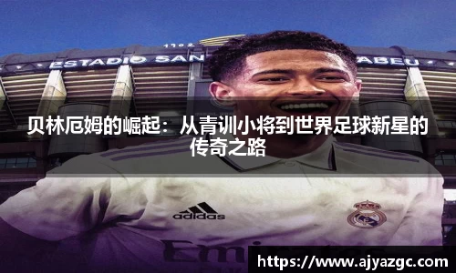 中国·BB贝博艾弗森