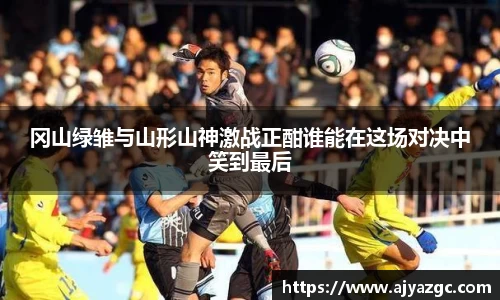 中国·BB贝博艾弗森