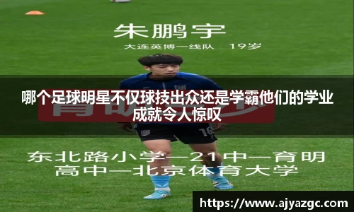 中国·BB贝博艾弗森