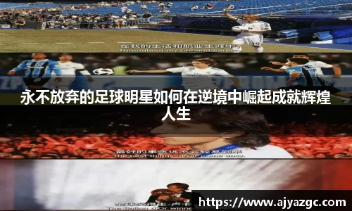 BB贝博艾弗森体育